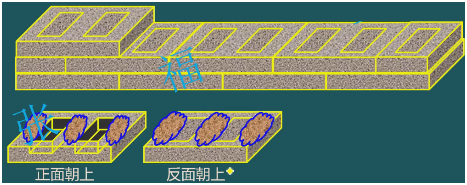 二級(jí)建造師考試主體結(jié)構(gòu)工程施工技術(shù)：砌體結(jié)構(gòu)工程