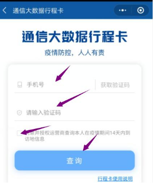 最后輸入自己的手機(jī)號(hào)碼，點(diǎn)擊查詢。